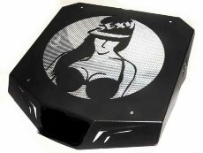 Вынос радиатора на Suzuki Kingquad 750/700/500