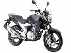 Мотоцикл yamaha fazer 250 '16